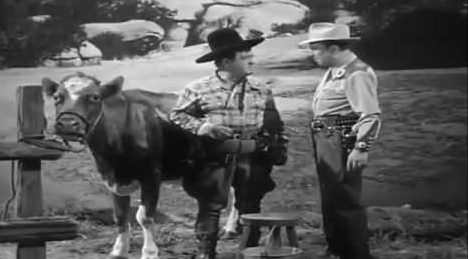 Milking a Cow - Lou Costello, Bud Abbott